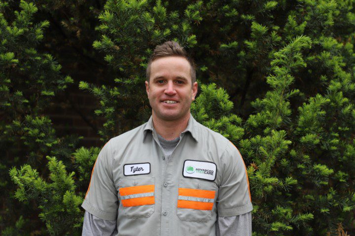 Arborist Tyler Adams