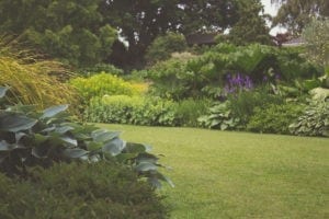 lawn care schedule Lawn Care Schedule
