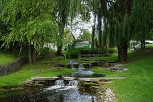 Lawn Care Mistakes