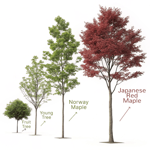Illustration showing various tree species sensitive to extreme cold, including Japanese Red Maple, Norway Maple, and fruit trees.